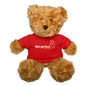 "Not perfect" Teddy Bear - red